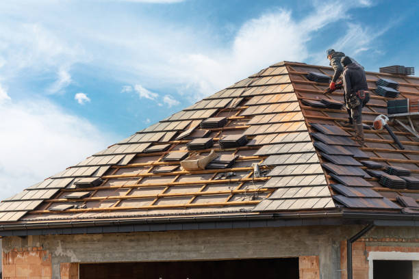 Best Roof Maintenance and Cleaning  in Cedville, AR